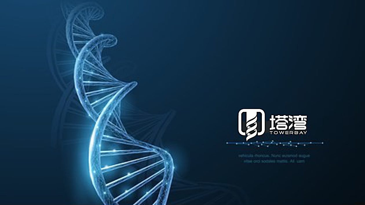 塔湾生物科技公司logo设计