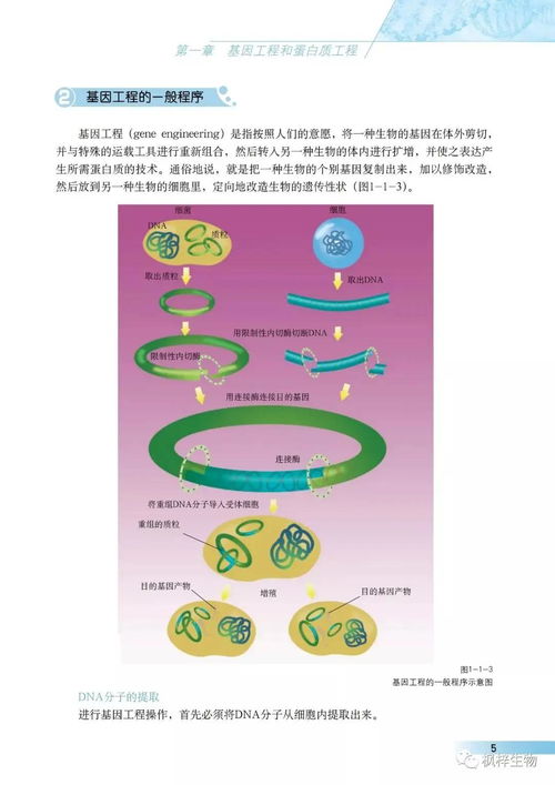 沪科版高中生物选修三 现代生物科技专题 电子课本 PDF版免费下载