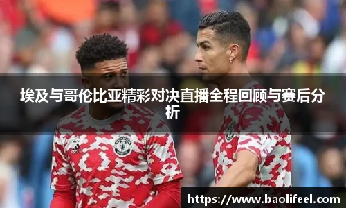 乐虎国际
