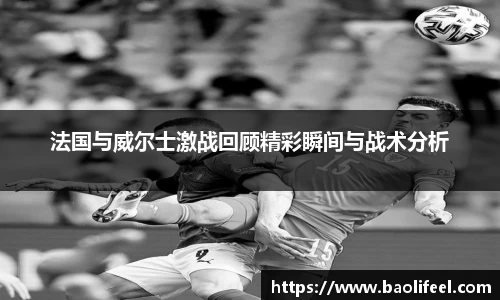 法国与威尔士激战回顾精彩瞬间与战术分析